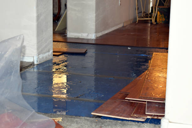 Professional Burst Pipe Water Damage technician working in Desdemona, TX
